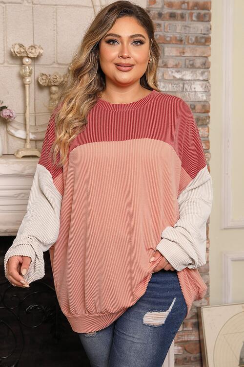 Plus Size Color Block Long Sleeve Top